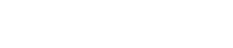 true flame logo